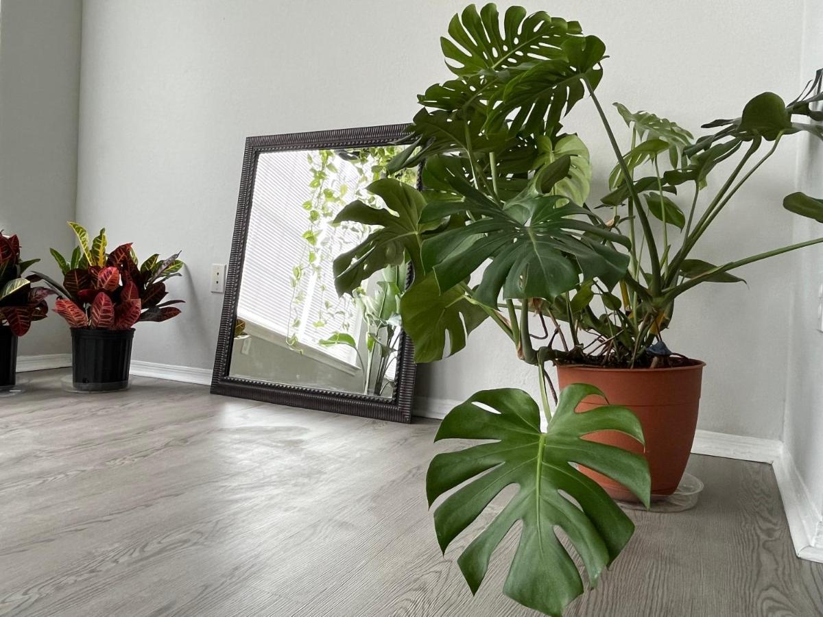 Next To Universal! 2Bedroom-2Bath-Many Indoor Plants オーランド エクステリア 写真